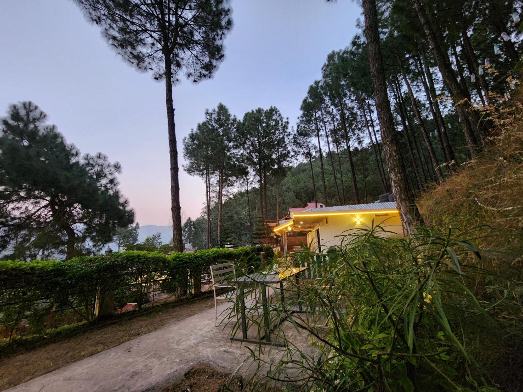 Pine Valley Resort Kasauli Extérieur photo