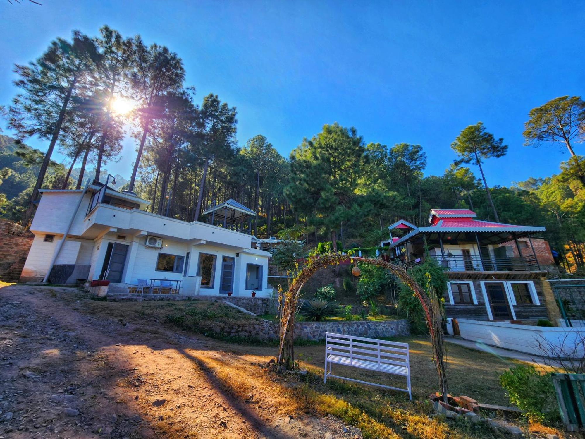 Pine Valley Resort Kasauli Extérieur photo