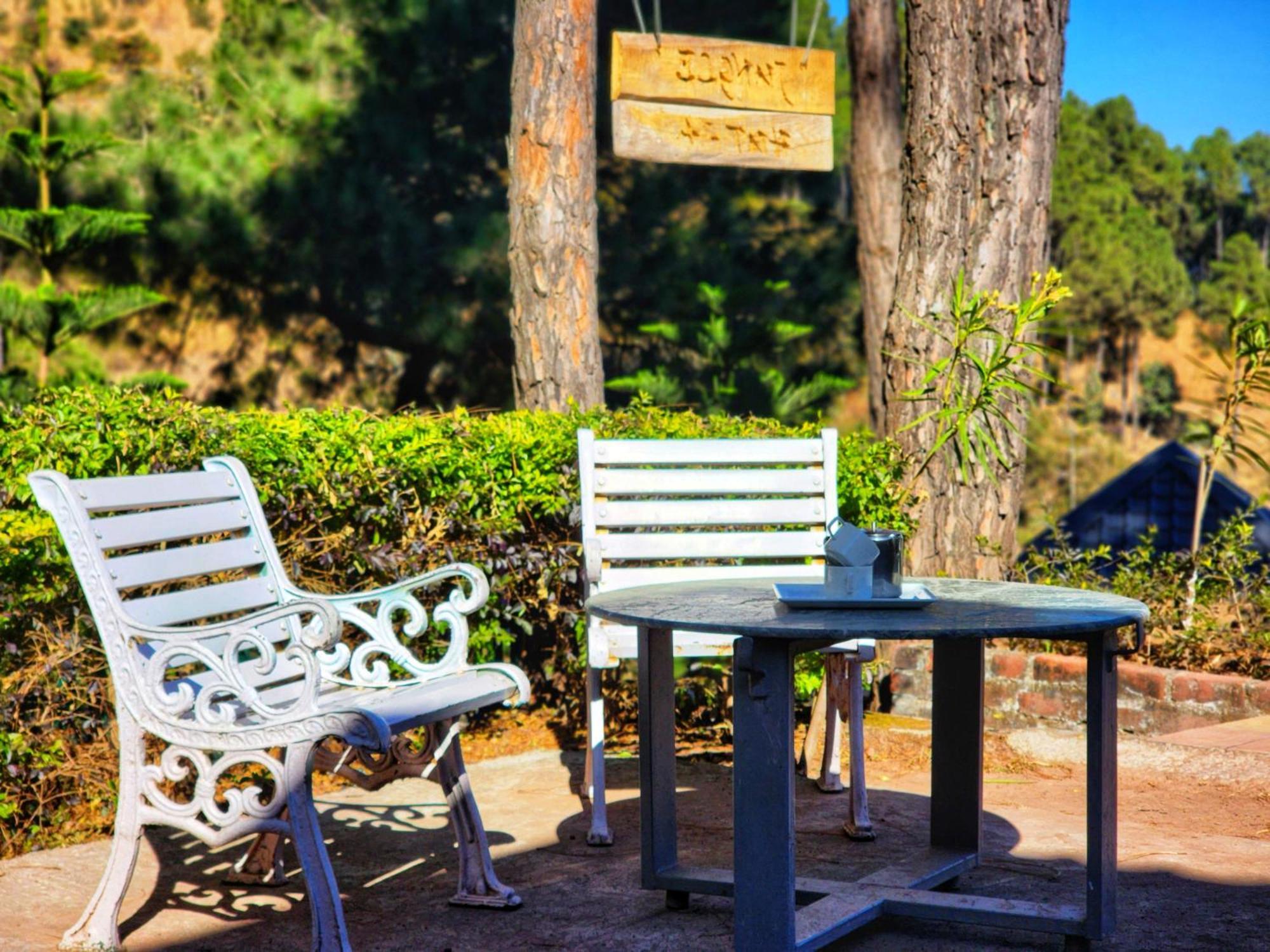 Pine Valley Resort Kasauli Extérieur photo